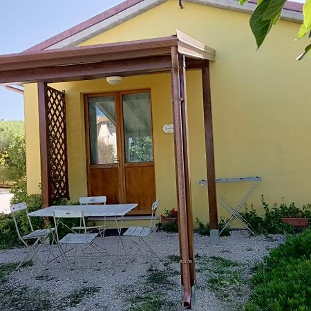 Agriturismo I Ciliegi Appartamento Ginestra Montignano Extérieur photo