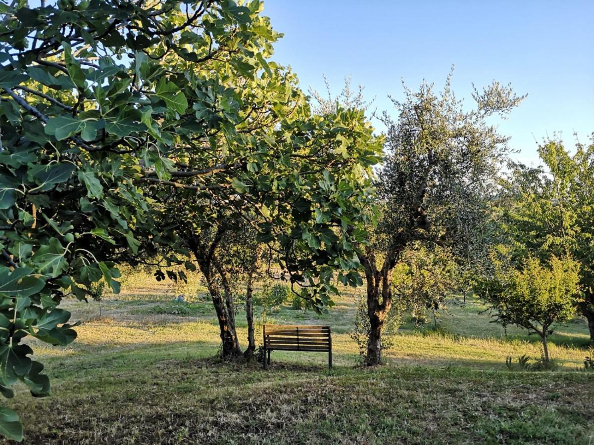 Agriturismo I Ciliegi Appartamento Ginestra Montignano Extérieur photo
