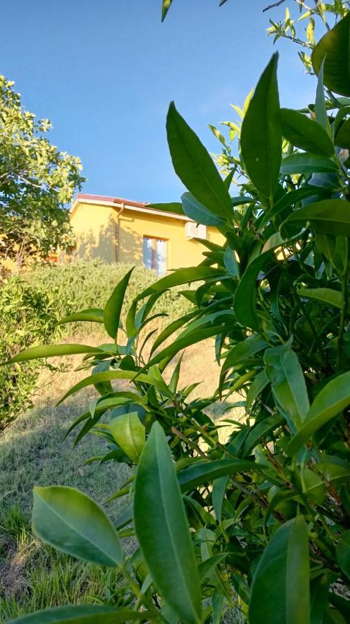 Agriturismo I Ciliegi Appartamento Ginestra Montignano Extérieur photo